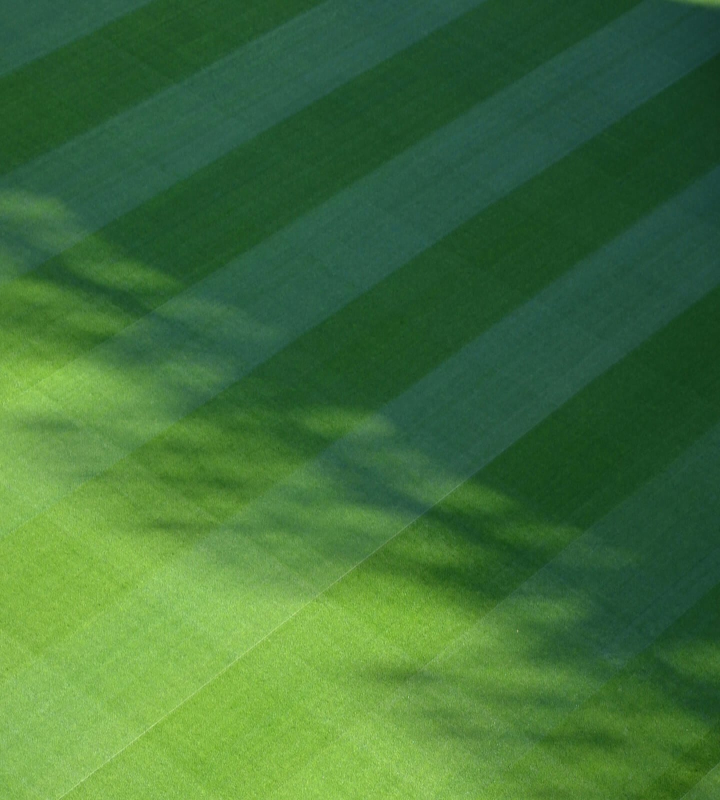 Close-up of golf course green with diagonal stripes