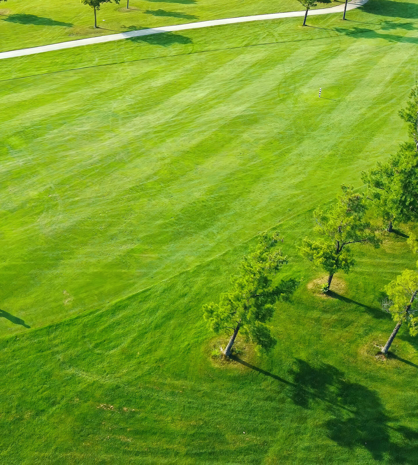 Golf Course with Trees